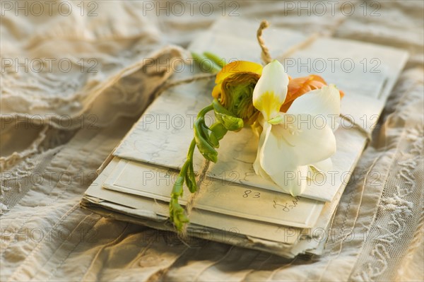 Flowers on pile of letters.