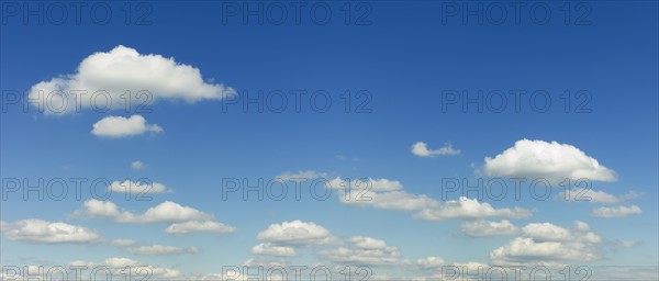 White puffy clouds in sky.