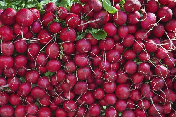 Radishes on market stall.