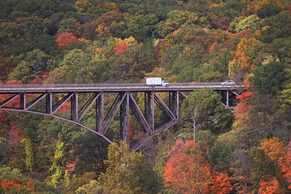 USA, New York, Bear Mountain, bridge in forest. Photo : fotog