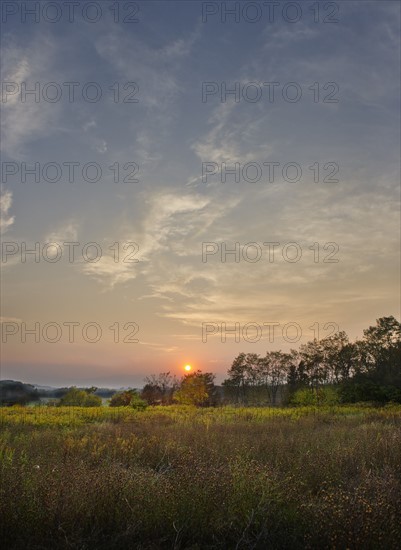 USA, New York, Hudson, Field at sunset.