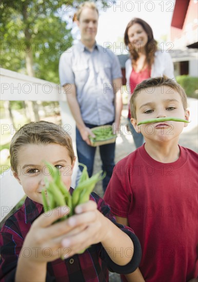 USA, New York, Flanders, Boys (4-5, 8-9) showing fresh beans with parents in background. Photo : Jamie Grill Photography