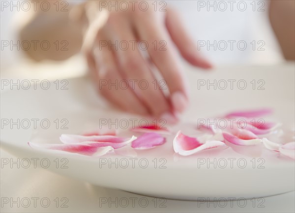 USA, New Jersey, Jersey City, Close-up view of woman's hand arranging petails on plate. Photo : Jamie Grill Photography