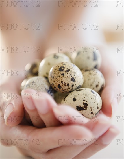 USA, New Jersey, Jersey City, Close-up view of woman's hands holding spotted quail eggs. Photo : Jamie Grill Photography