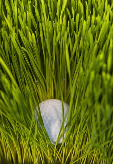 USA, New Jersey, Jersey City, Close-up view of golf ball in grass. Photo : Daniel Grill