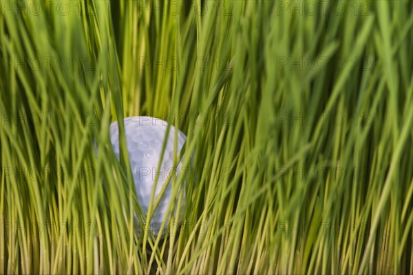 USA, New Jersey, Jersey City, Close-up view of golf ball in grass. Photo : Daniel Grill