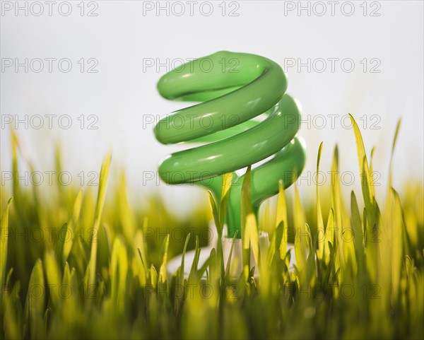 USA, New Jersey, Jersey City, Close-up view of energy efficient bulb sticking out of grass. Photo : Daniel Grill