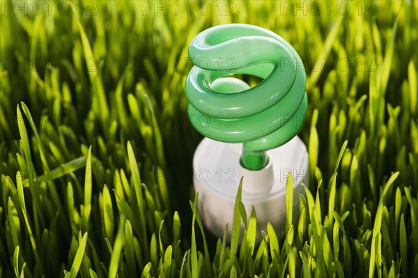 USA, New Jersey, Jersey City, Close-up view of energy efficient bulb sticking out of grass. Photo : Daniel Grill