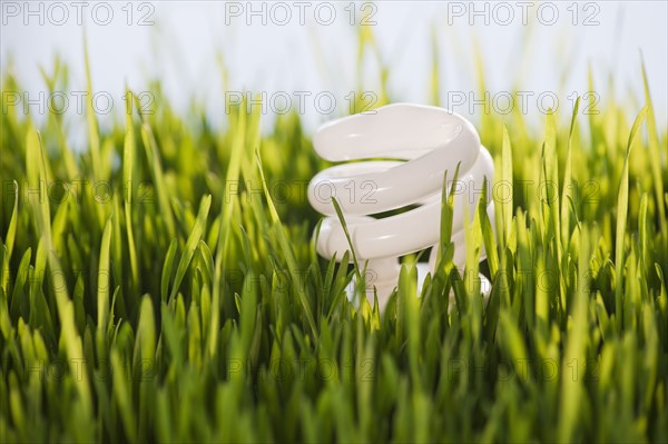 USA, New Jersey, Jersey City, Close-up view of energy efficient bulb sticking out of grass. Photo : Daniel Grill