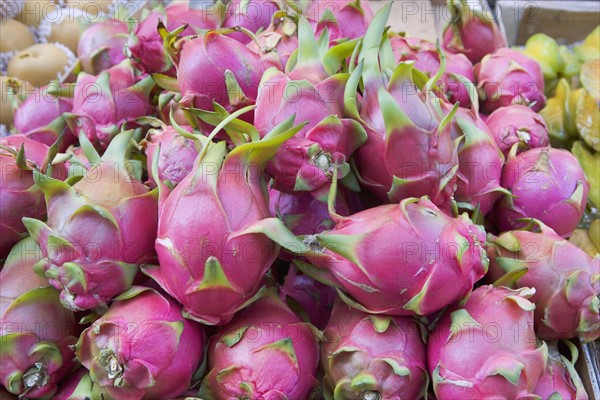 USA, New York City, heap of dragon fruit. Photo : fotog