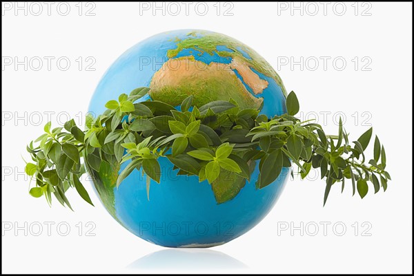 Globe in wreath of fresh leaves. Photo : Mike Kemp