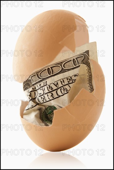 One hundred dollar bill in eggshell. Photo : Mike Kemp