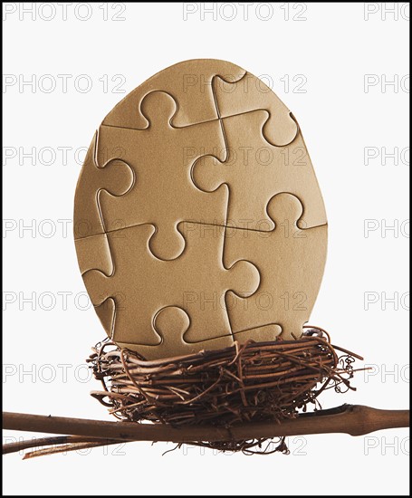 Puzzle egg in bird's nest. Photo : Mike Kemp