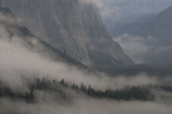 USA, California, Yosemite National Park, Mist in valley. Photo : Gary J Weathers