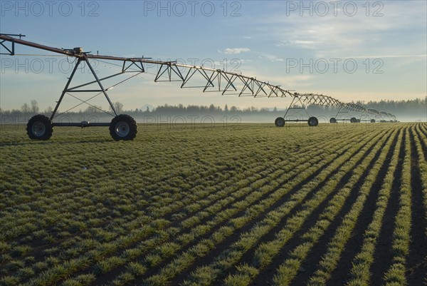 USA, Oregon, Agricultural sprinklers in field. Photo : Gary J Weathers