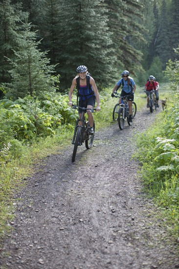 Canada, British Columbia, Fernie, group of five people enjoying mountain biking. Photo : Dan Bannister