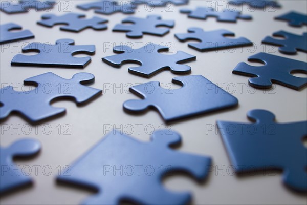 Scattered blue jigsaw pieces. Photo : Mike Kemp