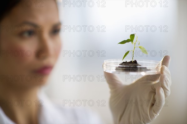 USA, New Jersey, Jersey City, Female scientist holding seedling in petri dish.