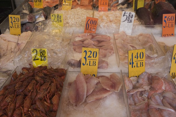 USA, New York City, market stall with seafood. Photo : fotog