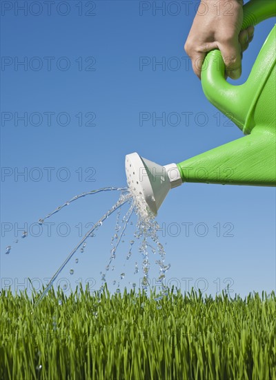 Man watering grass using watering can.