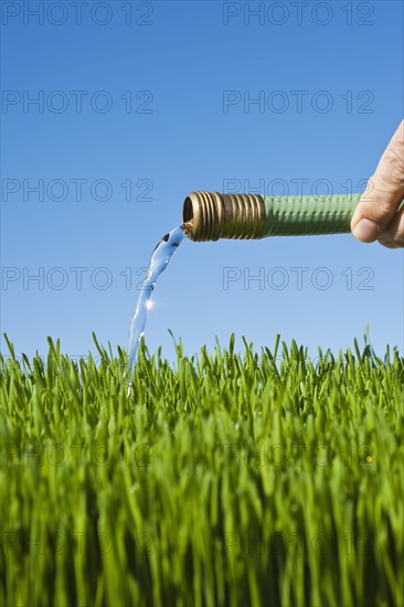 Man watering grass using hose.