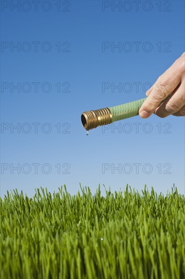 Man watering grass using hose.