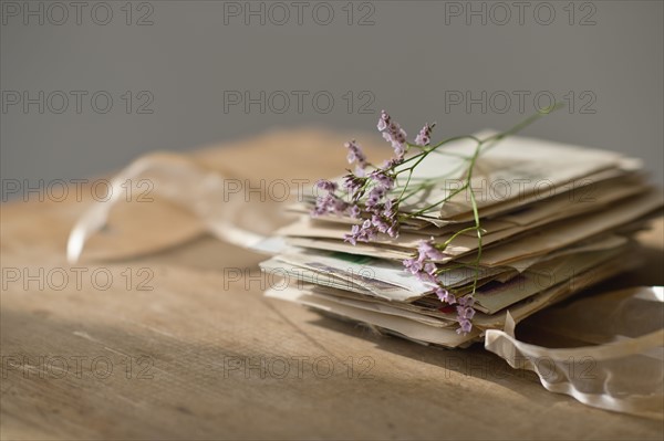 Lavender stem on stack of letters.