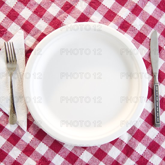 Close up empty plate on checked table cloth. Photo : Jamie Grill Photography