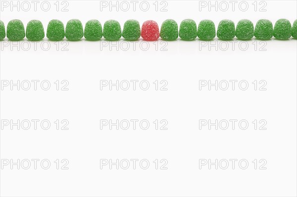 Line of green jellies and one red. Photo : FBP