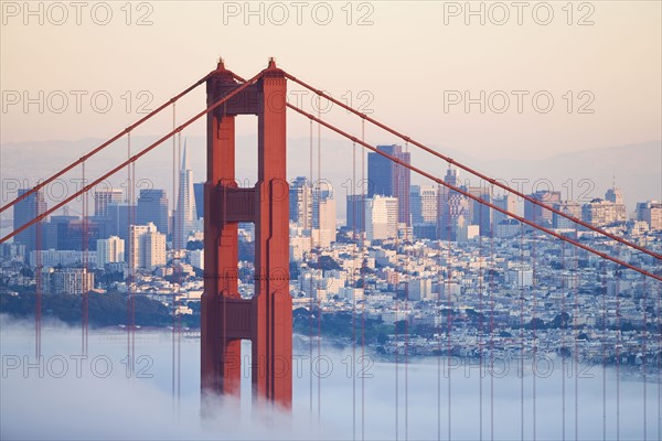 USA, California, San Francisco, Golden Gate Bridge in fog. Photo : Noah Clayton