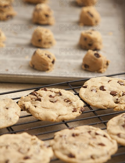 Chocolate cookies. Photo : Mike Kemp