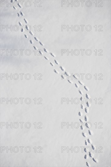 Footprints in snow. Photo : fotog