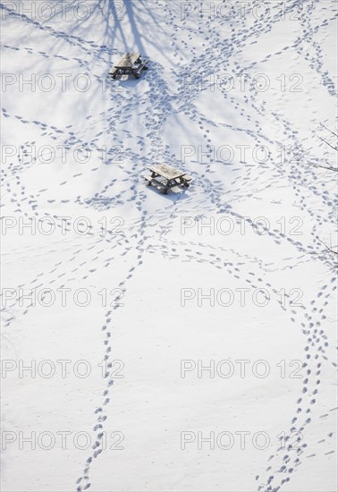 USA, New York State, Croton on Hudson, Footprints in snow. Photo : fotog