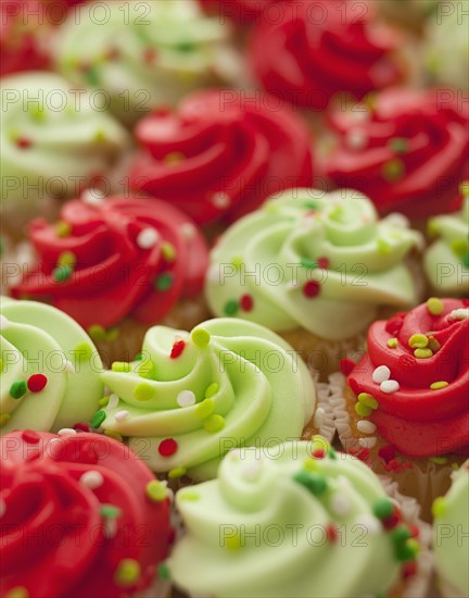 Studio Shot of cookies with sprinkles. Photo : Mike Kemp