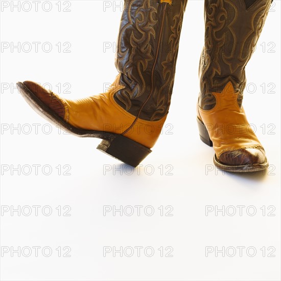 Pair of cowboy shoes.