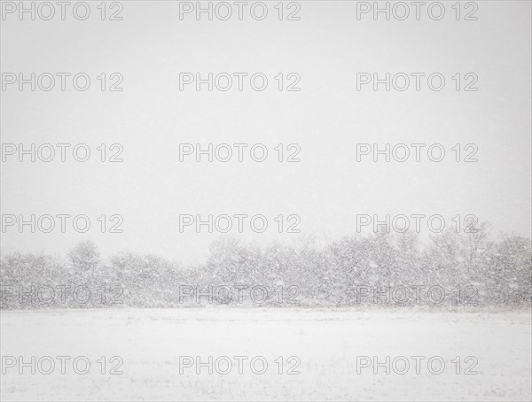 USA, New York State, Rockaway Beach, snowstorm. Photo : Jamie Grill Photography