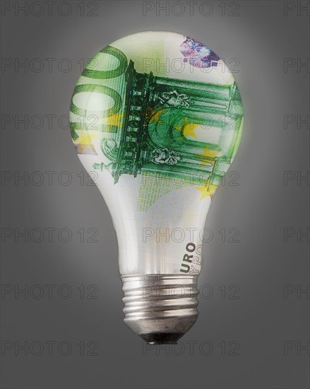 Composition of bulb and one hundred euro note. Photo : Mike Kemp