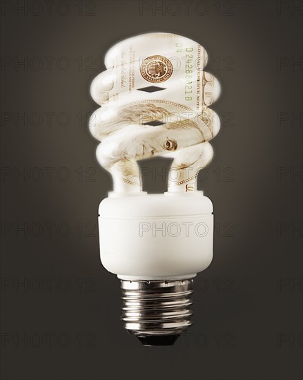 Composition of energy efficient bulb and one hundred dollar note. Photo : Mike Kemp