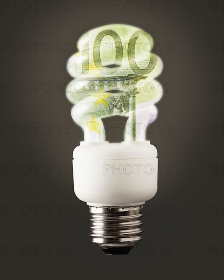 Composition of energy efficient bulb and one hundred euro note. Photo : Mike Kemp