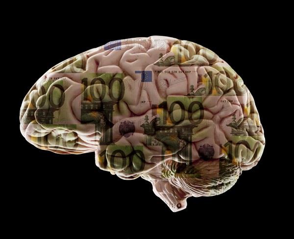 Composition of human brain model and one hundred euro notes. Photo : Mike Kemp