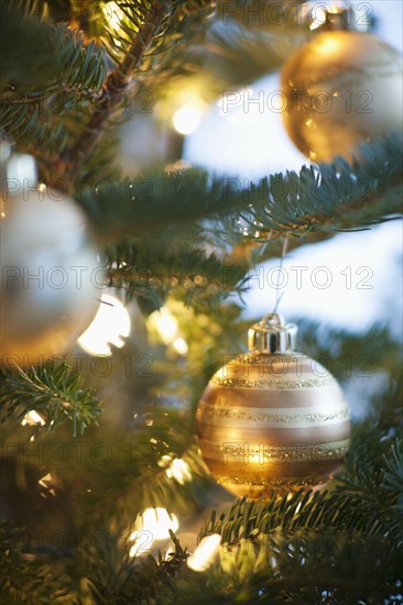 Christmas decoration hanging on Christmas tree, studio shot.