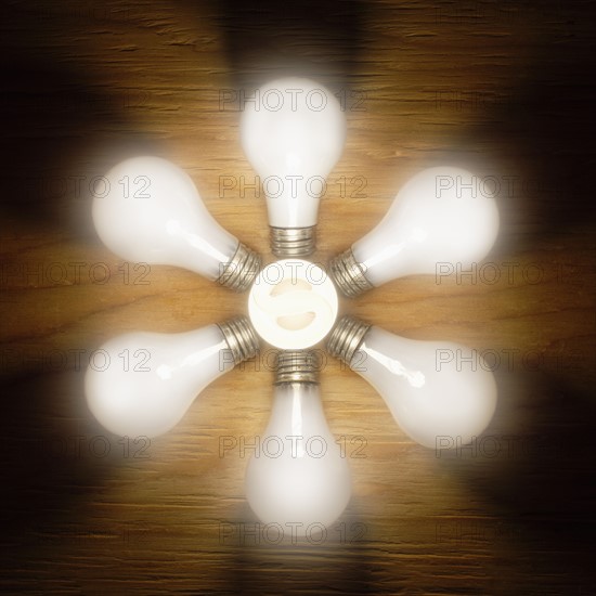 Light bulbs in circle, studio shot. Photo : Mike Kemp