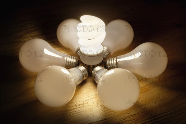 Light bulbs in circle, studio shot. Photo : Mike Kemp