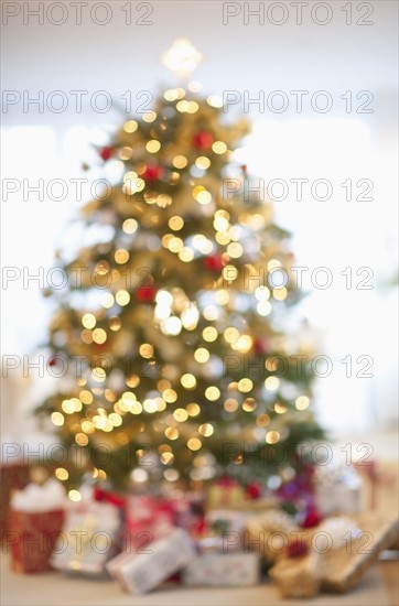 Christmas tree in living room.