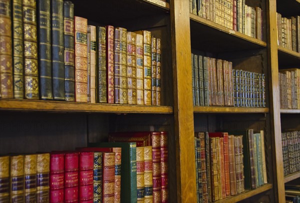 Close up of antique books on shelves.