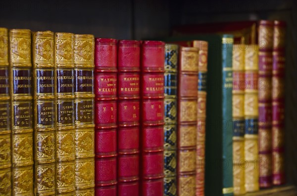 Close up of antique books on shelves.