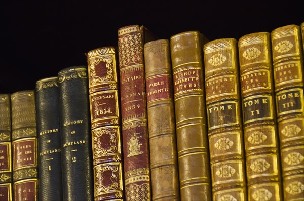 Close up of antique books on shelves.