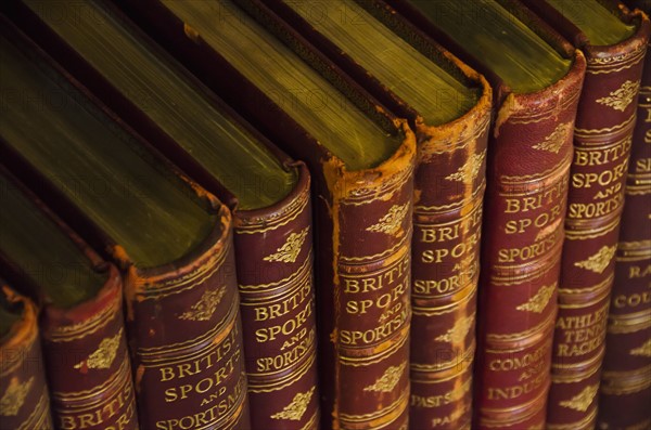 Close up of antique books on shelves.