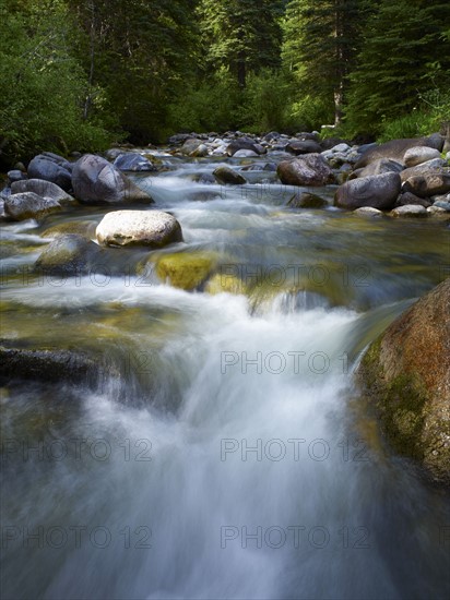 USA, Colorado, River flowing through forest. Photo : John Kelly