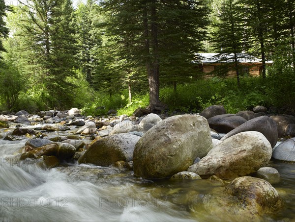 USA, Colorado, River flowing through forest. Photo : John Kelly